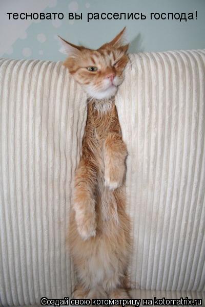 Котоматрица: тесновато вы расселись господа!