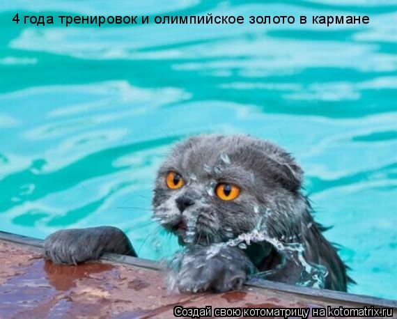 Котоматрица: 4 года тренировок и олимпийское золото в кармане