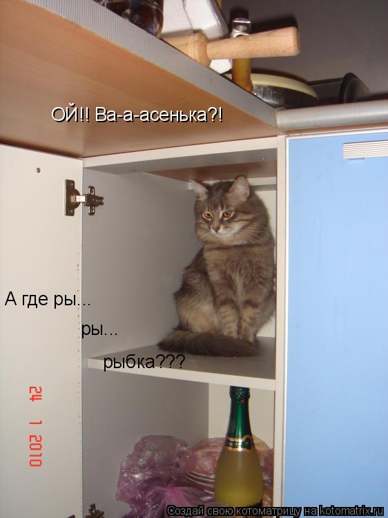 Котоматрица: ОЙ!! Ва-а-асенька?! А где ры... ры... рыбка???