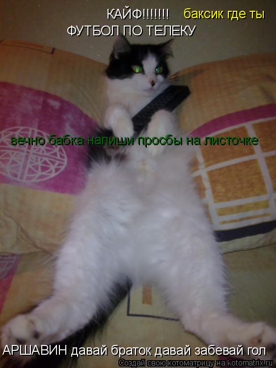 Котоматрица: КАЙФ!!!!!!! ФУТБОЛ ПО ТЕЛЕКУ АРШАВИН давай браток давай забевай гол  баксик где ты  вечно бабка напиши просбы на листочке
