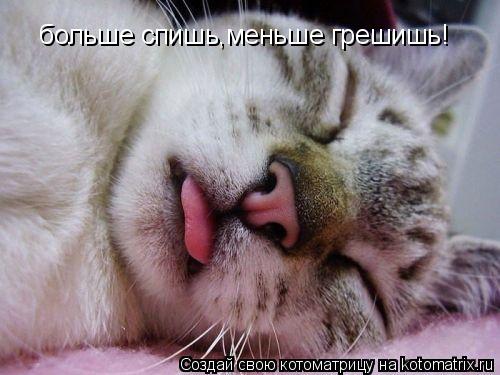 больше спишь,меньше грешишь!... Котоматрица: больше спишь,меньше грешишь!