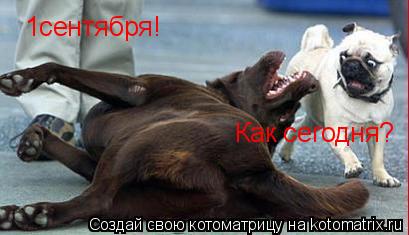 1сентября! Как сегодня?... Котоматрица: 1сентября! Как сегодня?