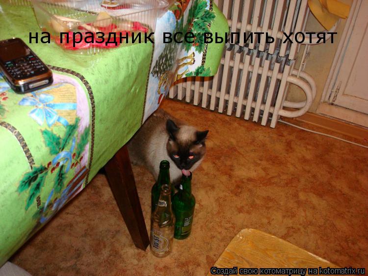 Котоматрица: на праздник все выпить хотят