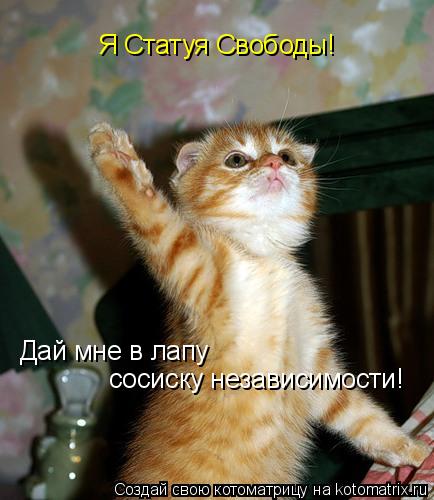 Котоматрица: Дай мне в лапу сосиску независимости! Я Статуя Свободы!