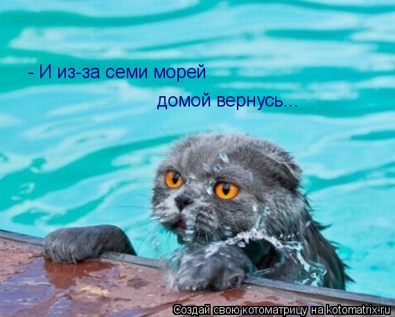 - И из-за семи морей домой вернусь...... Котоматрица: - И из-за семи морей домой вернусь...