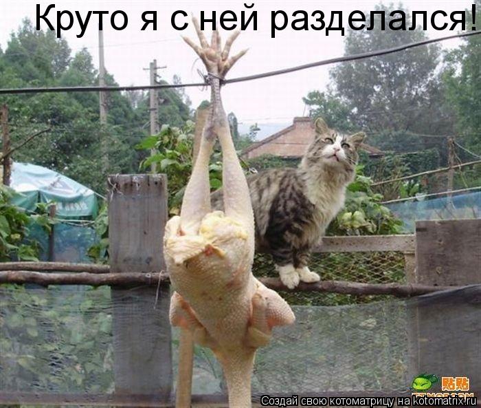 Котоматрица: Круто я с ней разделался!