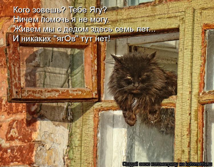 Кого зовешь? Тебе Ягу? Ничем помочь я не могу. Живем мы с дедом здесь семь лет... И никаких "ягОв" ту... Котоматрица: Кого зовешь? Тебе Ягу? Ничем помочь я не могу. Живем мы с дедом здесь семь лет... И никаких "ягОв" тут нет!