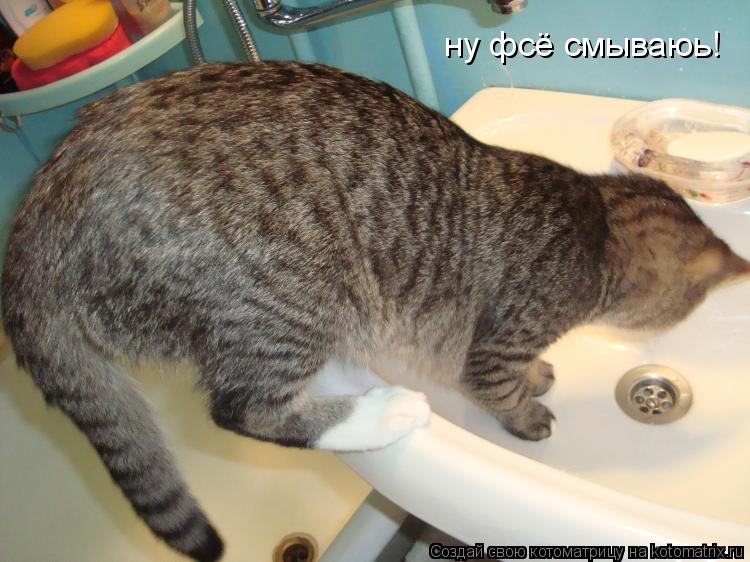 Котоматрица: ну фсё смываюь!