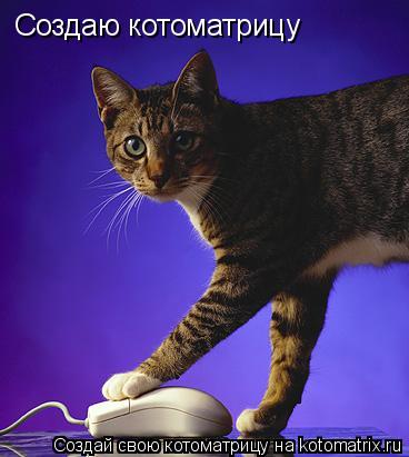 Котоматрица: Создаю котоматрицу