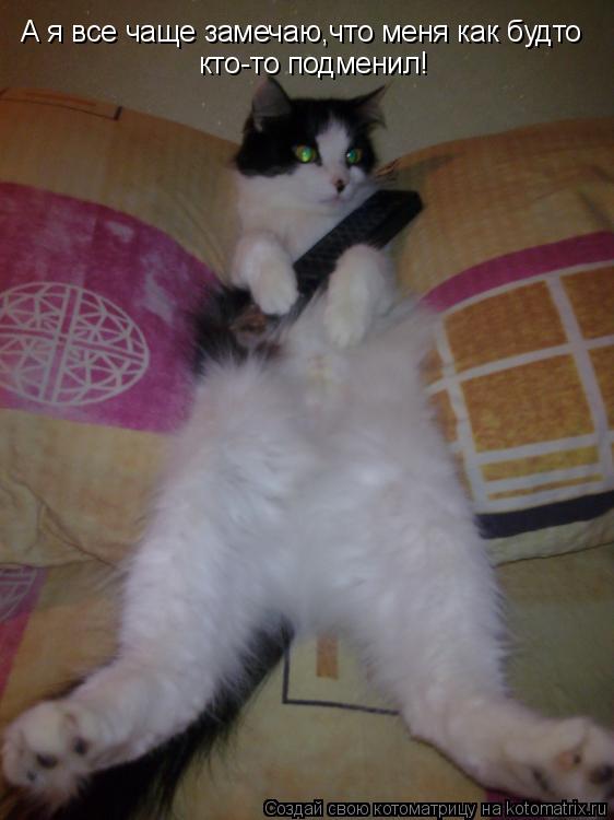 Котоматрица: А я все чаще замечаю,что меня как будто  кто-то подменил!
