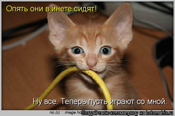 Котоматрица: Опять они в инете сидят! Ну все. Теперь пусть играют со мной.