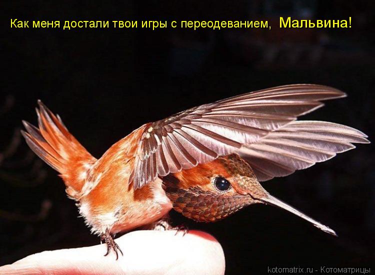 Котоматрица: Как меня достали твои игры с переодеванием, Мальвина!