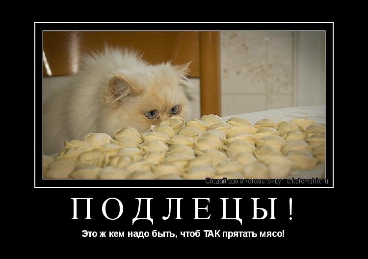 Котоматрица: Подлецы! Это ж кем надо быть, чтоб ТАК прятать мясо!