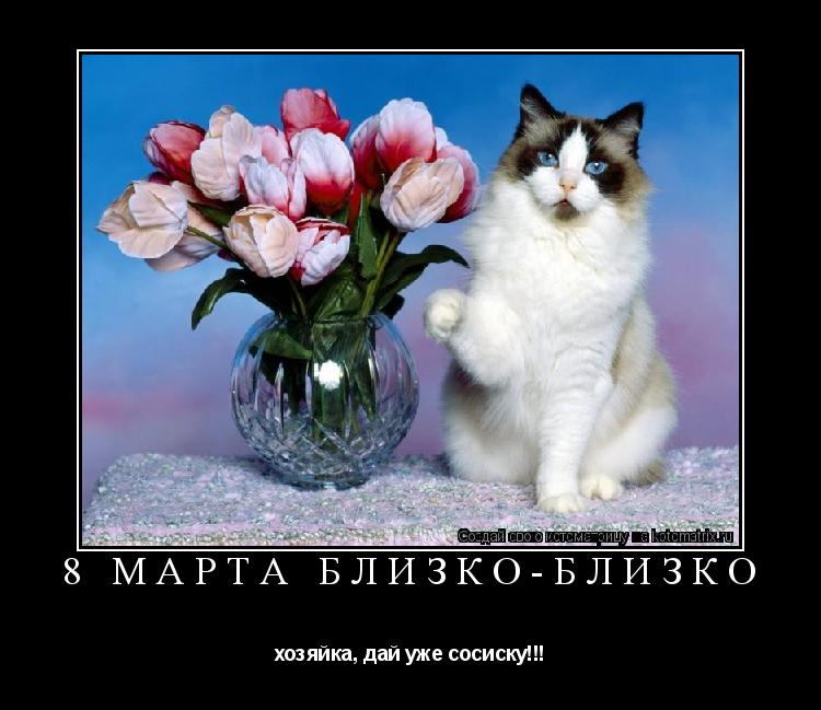 Котоматрица: 8 марта близко-близко хозяйка, дай уже сосиску!!!
