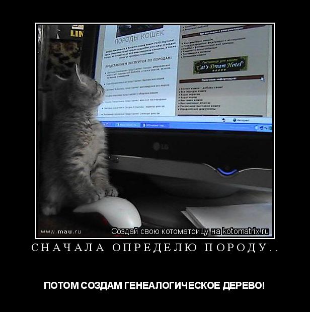 СНАЧАЛА ОПРЕДЕЛЮ ПОРОДУ.. ПОТОМ СОЗДАМ ГЕНЕАЛОГИЧЕСКОЕ ДЕРЕВО!... Котоматрица: СНАЧАЛА ОПРЕДЕЛЮ ПОРОДУ.. ПОТОМ СОЗДАМ ГЕНЕАЛОГИЧЕСКОЕ ДЕРЕВО!