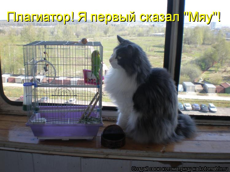 Котоматрица: Плагиатор! Я первый сказал "Мяу"!