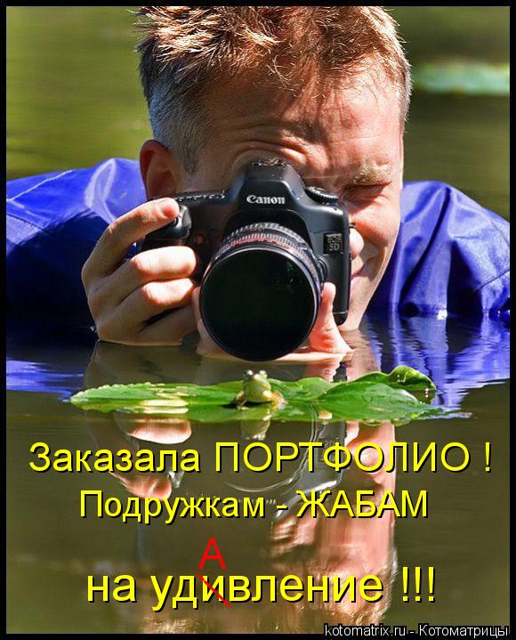 Котоматрица: Заказала ПОРТФОЛИО ! Подружкам - ЖАБАМ на удивление !!! ----- А