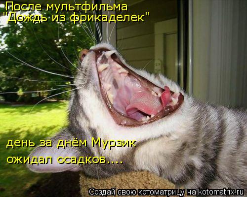 Котоматрица: После мультфильма  "Дождь из фрикаделек" день за днём Мурзик ожидал осадков....