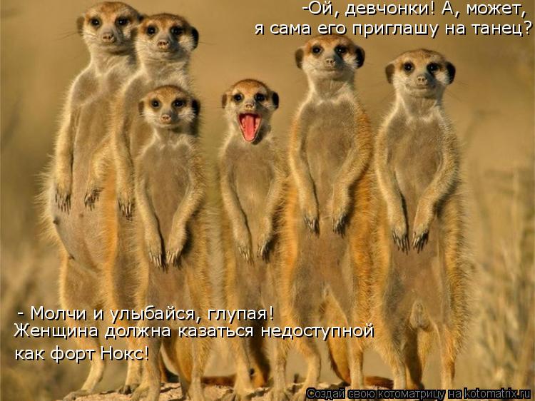-Ой, девчонки! А, может, я сама его приглашу на танец?! - Молчи и улыбайся, глупая! Женщина должна к... Котоматрица: -Ой, девчонки! А, может, я сама его приглашу на танец?! - Молчи и улыбайся, глупая! Женщина должна казаться недоступной как форт Нокс!