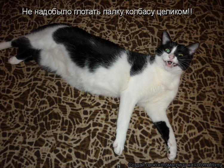 Не надобыло глотать палку колбасу целиком!!... Котоматрица: Не надобыло глотать палку колбасу целиком!!