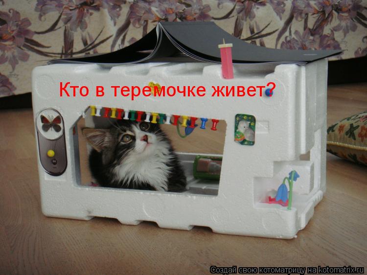 Котоматрица: Кто в теремочке живет?