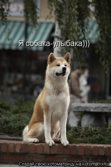 Котоматрица: Я собака-улыбака)))