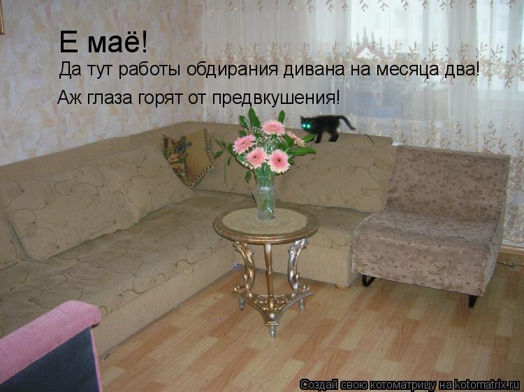 Котоматрица: Е маё!  Да тут работы обдирания дивана на месяца два! Аж глаза горят от предвкушения!
