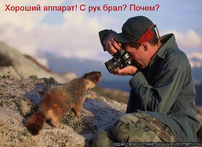 Котоматрица: Хороший аппарат! С рук брал? Почем?