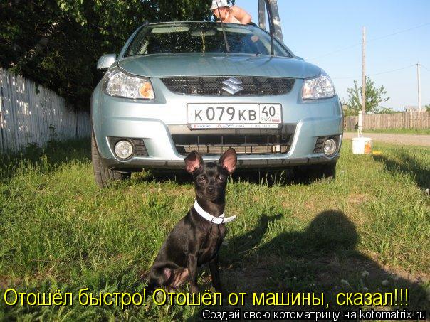 Котоматрица: Отошёл быстро! Отошёл от машины, сказал!!!