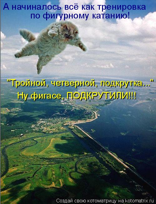 Котоматрица: А начиналось всё как тренировка по фигурному катанию! "Тройной, четверной, подкрутка..." Ну фигасе, ПОДКРУТИЛИ!!!