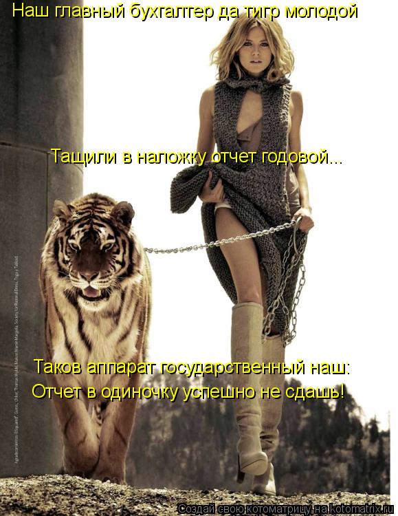 Наш главный бухгалтер да тигр молодой Тащили в наложку отчет годовой... Таков аппарат государственный... Котоматрица: Наш главный бухгалтер да тигр молодой Тащили в наложку отчет годовой... Таков аппарат государственный наш: Отчет в одиночку успешно не сдаш
