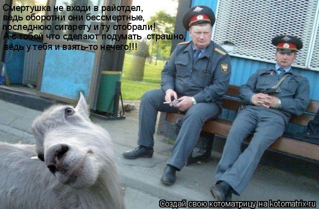 Смертушка не входи в райотдел, ведь оборотни они бессмертные, последнюю сигарету и ту отобрали! А с т... Котоматрица: Смертушка не входи в райотдел, ведь оборотни они бессмертные, последнюю сигарету и ту отобрали! А с тобой что сделают подумать страшно, вед