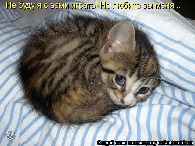 Не буду я с вами играть! Не любите вы меня...... Котоматрица: Не буду я с вами играть! Не любите вы меня...