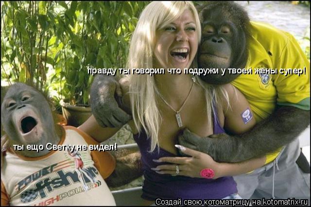 правду ты говорил что подружи у твоей жены супер! ты ещо Светку не видел!... Котоматрица: правду ты говорил что подружи у твоей жены супер! ты ещо Светку не видел!