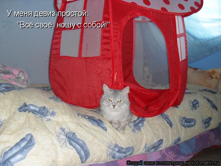 Котоматрица: У меня девиз простой:   "Всё своё, ношу с собой!"