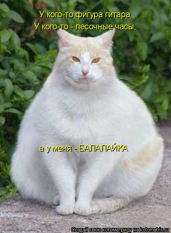 Котоматрица: У кого-то фигура гитара, У кого-то - песочные часы, а у меня - БАЛАЛАЙКА