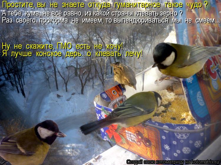Котоматрица: А тебе, кума, не всё равно, из какой страны клевать зерно ? Раз  своего  прокорма  не  имеем, то выпендюриваться  мы  не  смеем... Простите, вы  не  