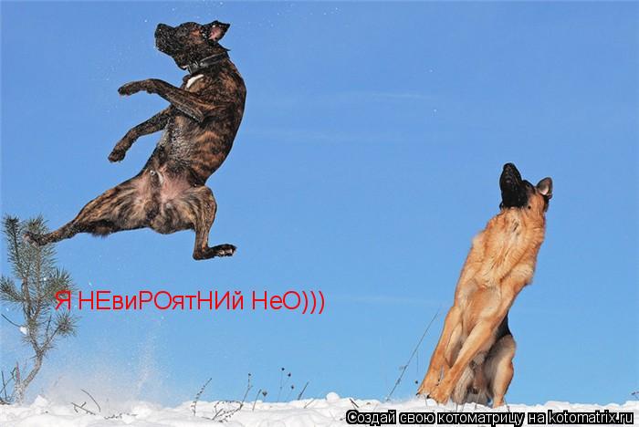 Котоматрица: Я НЕвиРОятНИй НеО)))