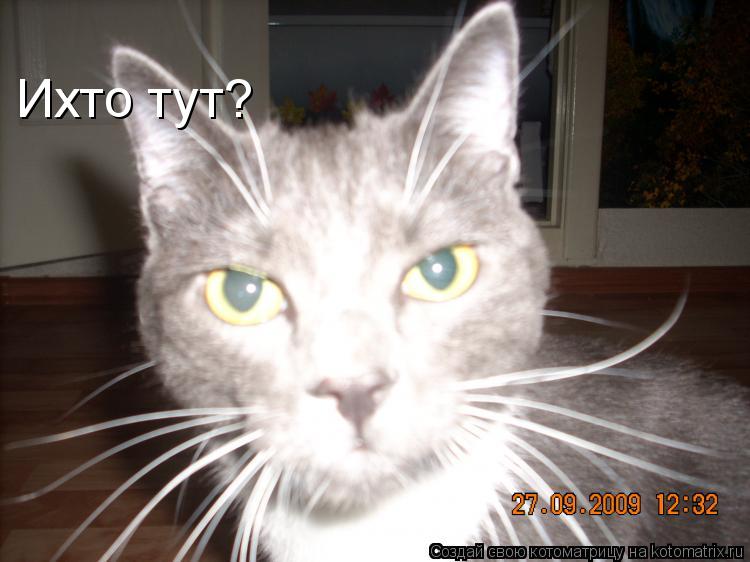 Котоматрица: Ихто тут?