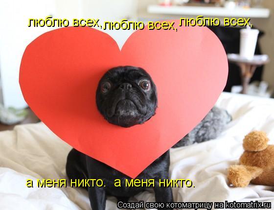 Котоматрица: люблю всех, люблю всех, люблю всех, а меня никто. а меня никто.
