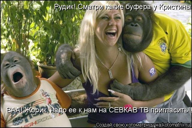 Котоматрица: Рудик! Сматри какие буфера у Кристины!  ВАА! Жорик, надо ее к нам на СЕВКАВ ТВ пригласить!!!