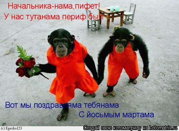 Котоматрица: Начальника-нама,пифет! У нас тутанама периф был Вот мы поздравляма тебянама с йосьманама мартама!! Вот мы поздравляма тебянама С йосьмым ма