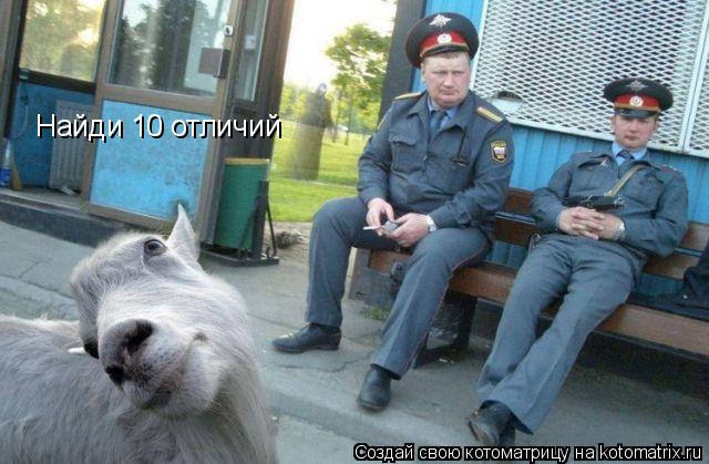 Котоматрица: Найди 10 отличий