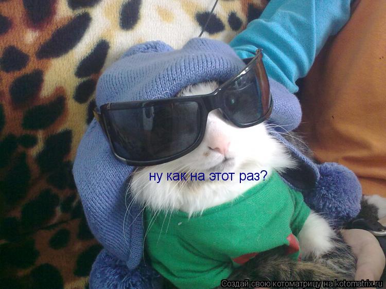 Котоматрица: ну как на этот раз?