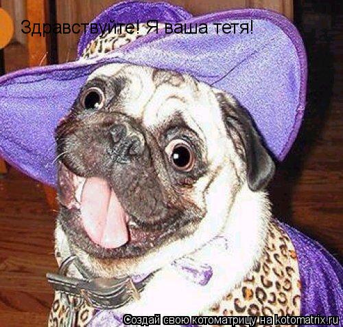 Котоматрица: Здравствуйте! Я ваша тетя!