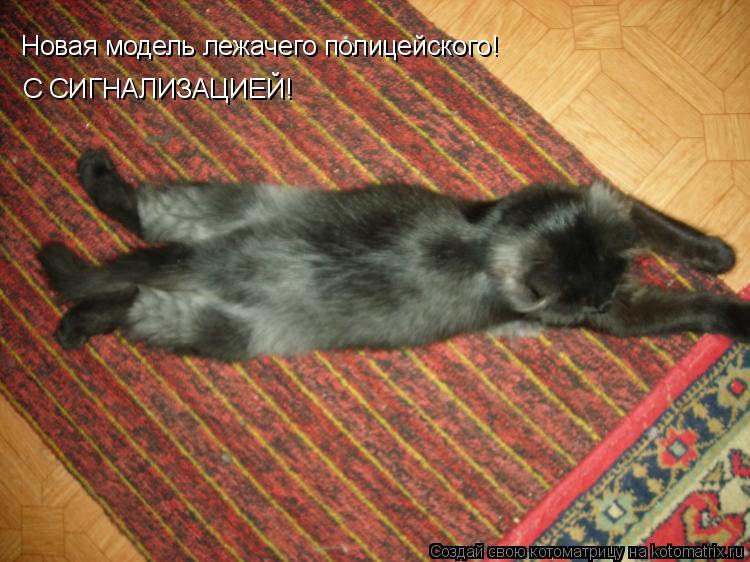 Котоматрица: Новая модель лежачего полицейского! С СИГНАЛИЗАЦИЕЙ!