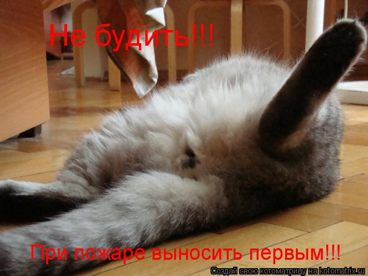Котоматрица: Не будить!!! При пожаре выносить первым!!!