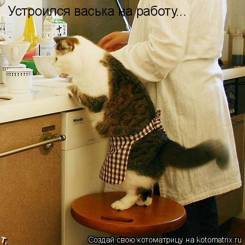 Котоматрица: Устроился васька на работу...