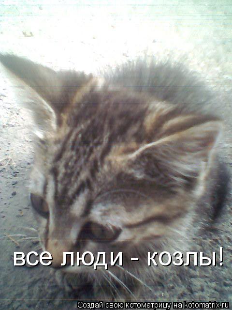 Котоматрица: все люди - козлы!