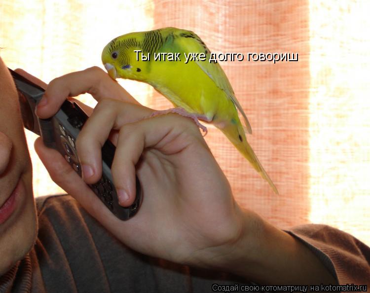 Котоматрица: Ты итак уже долго говориш